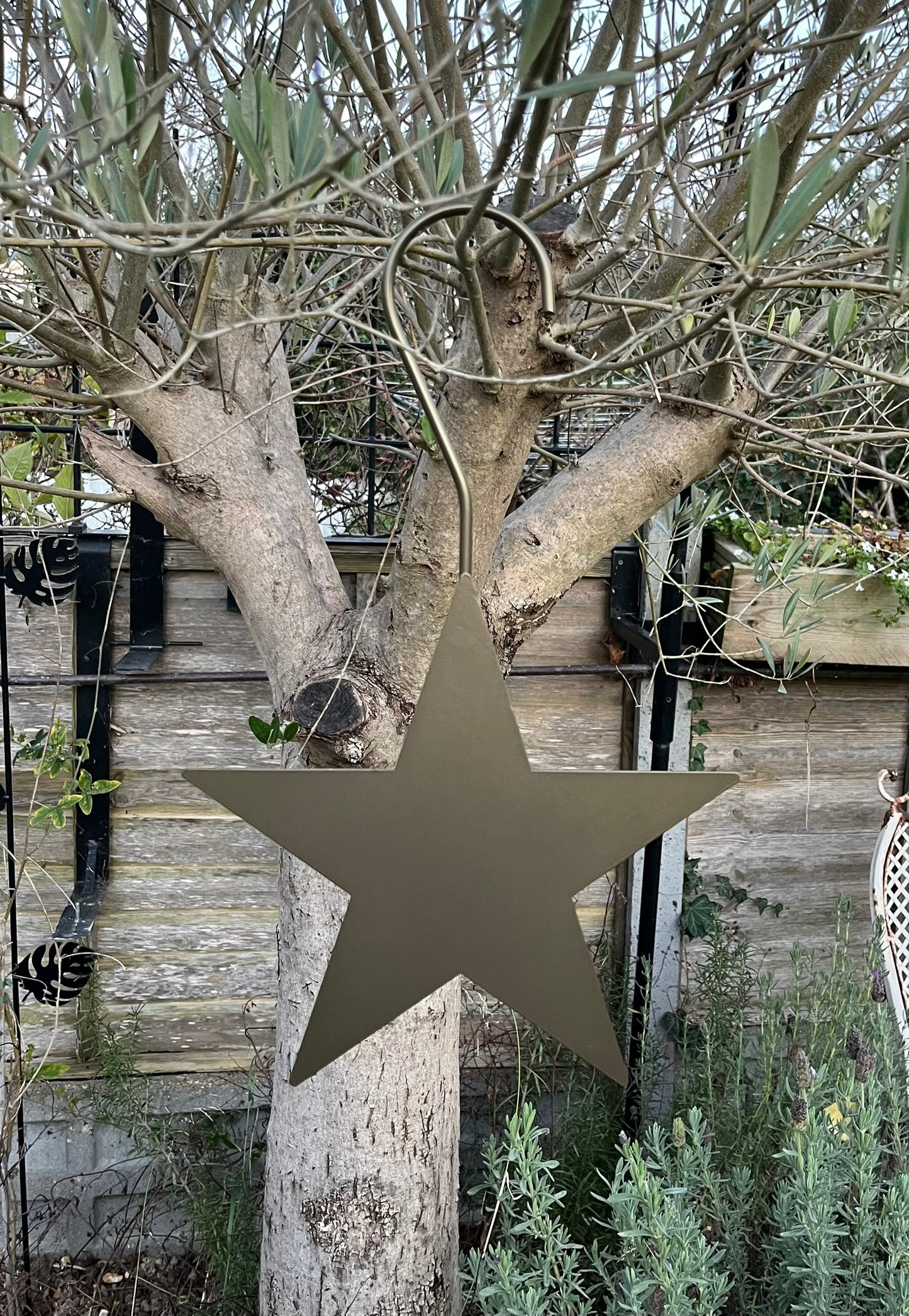 Decorative hanging star