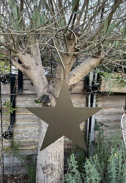 Decorative hanging star