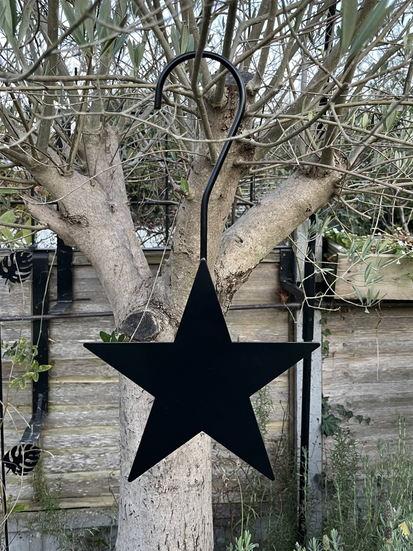 Decorative hanging star