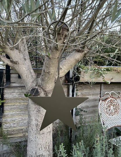 Decorative hanging star