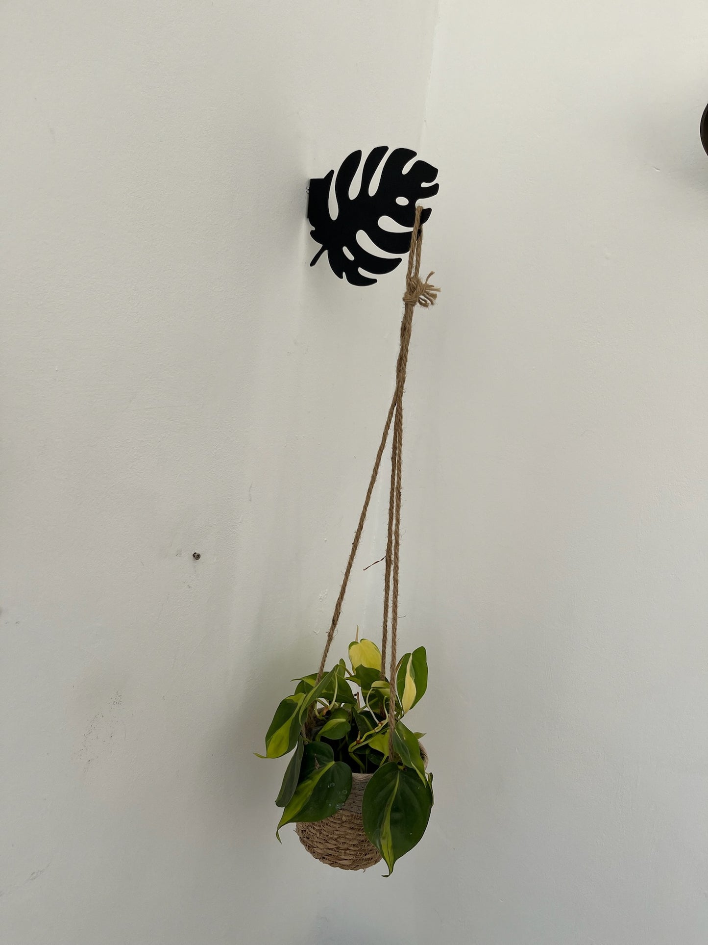 Leaf shelf or hook