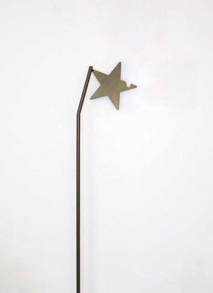 Standing star hook